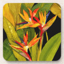 Pesquisar por paraíso porta copos Ave do paraíso