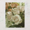 Pesquisar por romance vintage cartoes postais Rosa