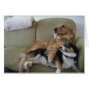 Pesquisar por namorados engraçados cartoes Romântico