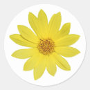 Pesquisar por isolado adesivos Natureza