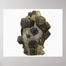 Pesquisar por mineralogia pôsteres pósteres Ciência natural