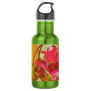 Pesquisar por dragões garrafa agua Rosa