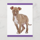 Pesquisar por pitbull branco cartoes Cão