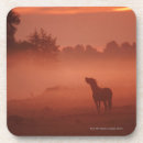 Pesquisar por imagens do cavalo porta copos Vaqueiro