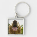 Pesquisar por do golden retriever chaveiros Vertical