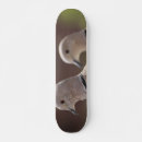 Pesquisar por pomba skates Amor
