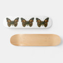 Pesquisar por pintado skates Laranja