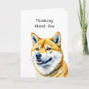 Pesquisar por shiba inu cartoes Amantes de cães