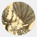 Pesquisar por neutrals adesivos Alga