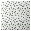 Pesquisar por verde da cozinha azulejos Casal