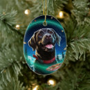 Pesquisar por labrador retriever ornamentos De natal