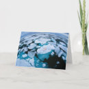 Pesquisar por svalbard cartoes postais Inverno