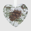 Pesquisar por pine cone ornamentos Qualquer pessoa