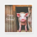 Pesquisar por porquinho Porcos