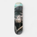 Pesquisar por macaco skates Animal