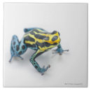 Pesquisar por veneno azulejos Animal