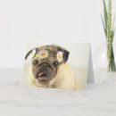 Pesquisar por tongue cartoes Pet