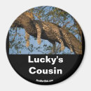 Pesquisar por lucky imas Sortudo