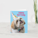 Pesquisar por shih tzu cartoes Canino