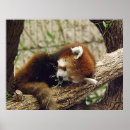 Pesquisar por food pôsteres pósteres Qualquer pessoa