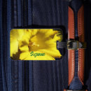 Pesquisar por flor amarela do daffodil Para ela