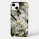 Pesquisar por pera iphone capas Natureza