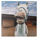 Pesquisar por cavalos azulejos Natureza