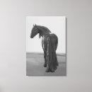 Pesquisar por cavalo preto impressão de canvas Animais