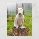 Pesquisar por bull terrier cartoes postais Animais de companhia