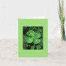 Pesquisar por four leaf clover cartoes postais Green