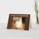 Pesquisar por veterinário engraçado cartoes Gato