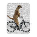 Pesquisar por bicicleta antiga imas Bike