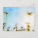 Pesquisar por daisy cartoes postais Aquarela