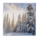 Pesquisar por esqui azulejos Neve