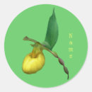 Pesquisar por orquídeas amarelas adesivos Natureza