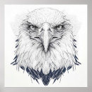 Pesquisar por eagle pôsteres pósteres Animal