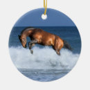 Pesquisar por cavalo de mar ornamentos Fantasia