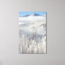 Pesquisar por nacional impressão de canvas Colorado