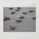 Pesquisar por salvador cartoes postais América central