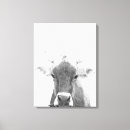 Pesquisar por vacas impressão de canvas Touro