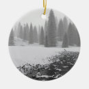 Pesquisar por nevadas ornamentos Foto