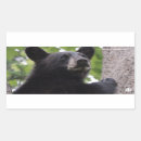 Pesquisar por urso preto adesivos Vida selvagem