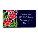 Pesquisar por jardinagem etiquetas Flor