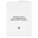 Pesquisar por glicínias cartoes postais Roxo