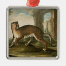 Pesquisar por jaguar ornamentos Selvagem