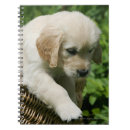 Pesquisar por golden retriever cadernos de notas Ouro liso revestido