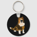 Pesquisar por sheepdog chaveiros Cães