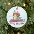 Pesquisar por sled ornamentos Fofofo