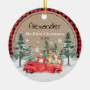 Pesquisar por nevadas ornamentos Para crianças