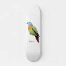 Pesquisar por pomba skates Pássaro